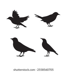 bird silhouette vector arts and design