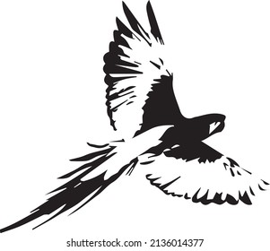 Bird silhouette vector black and white