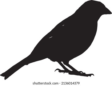 Bird silhouette vector black and white