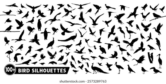 Bird silhouette vector collection. 100+ Bird silhouette bundle. Set of various bird breed silhouettes, vectors, illustrations, icons, and graphic elements, isolated on white background