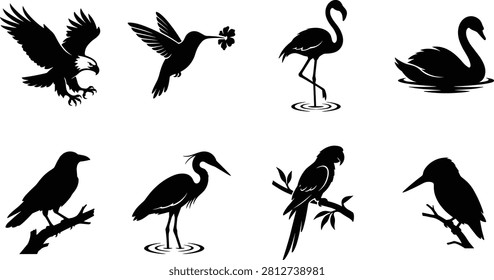Bird Silhouette Vector Collection Featuring Eagle Hummingbird Flamingo Swan Crow Heron Parrot and Kingfisher