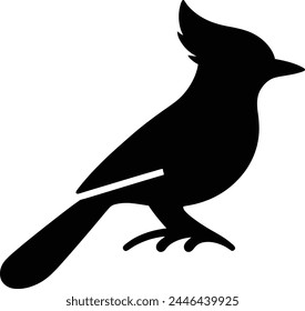 Bird silhouette vector design graphics 