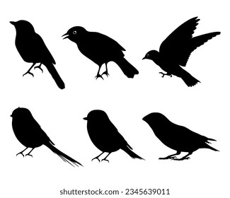 Bird silhouette vector, flying bird silhouette free, flying bird silhouette identification, silhouettes of birds of prey in flight, raptor bird silhouette.