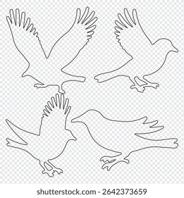 Bird silhouette vector, flying bird silhouette free, flying bird silhouette identification, silhouettes of birds of prey in flight, raptor bird silhouette.