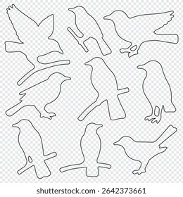 Bird silhouette vector, flying bird silhouette free, flying bird silhouette identification, silhouettes of birds of prey in flight, raptor bird silhouette.
