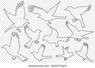 Bird silhouette vector, flying bird silhouette free, flying bird silhouette identification, silhouettes of birds of prey in flight, raptor bird silhouette.