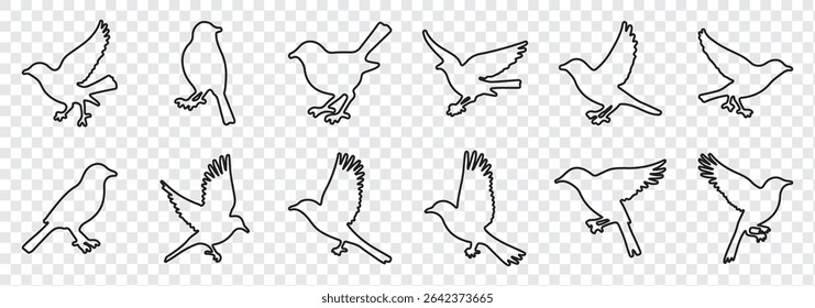 Bird silhouette vector, flying bird silhouette free, flying bird silhouette identification, silhouettes of birds of prey in flight, raptor bird silhouette.