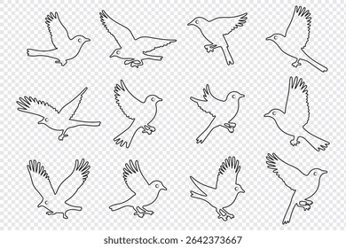 Bird silhouette vector, flying bird silhouette free, flying bird silhouette identification, silhouettes of birds of prey in flight, raptor bird silhouette.