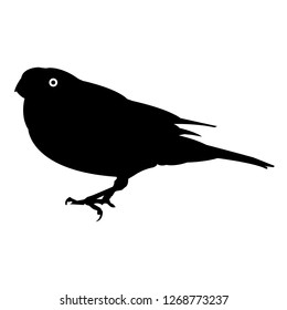 Bird silhouette vector icon eps