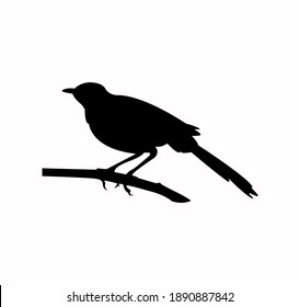 Bird silhouette vector icon on a white background