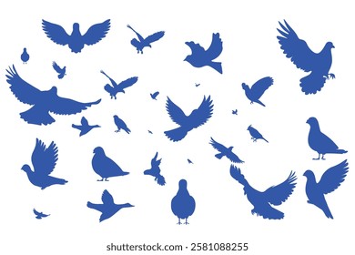 Bird silhouette  of vector with illustration