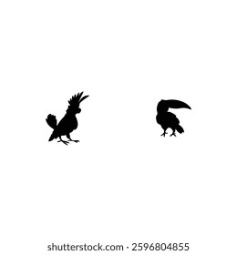 Bird silhouette with vector of illustration 