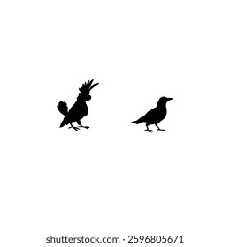 Bird silhouette with vector of illustration 
