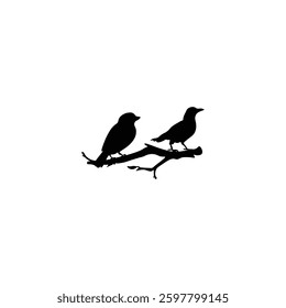 Bird silhouette with vector of illustration