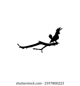 Bird silhouette with vector of illustration
