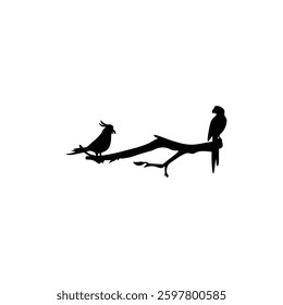 Bird silhouette with vector of illustration