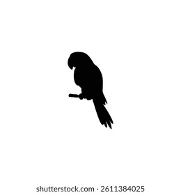 Bird silhouette with vector of illustration 