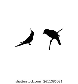 Bird silhouette with vector of illustration 