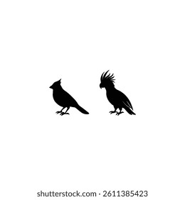 Bird silhouette with vector of illustration 