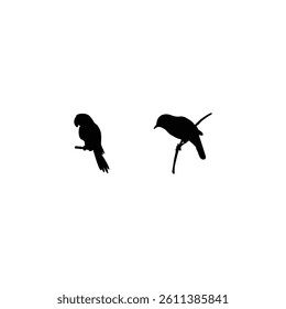 Bird silhouette with vector of illustration 