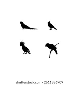 Bird silhouette with vector of illustration 