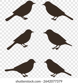bird silhouette vector illustration. Vector elements for design. Birds icon set.