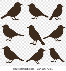 bird silhouette vector illustration. Vector elements for design. Birds icon set.