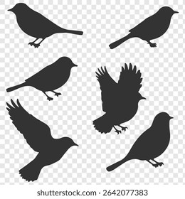 bird silhouette vector illustration. Vector elements for design. Birds icon set.