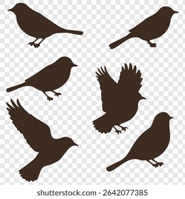 bird silhouette vector illustration. Vector elements for design. Birds icon set.