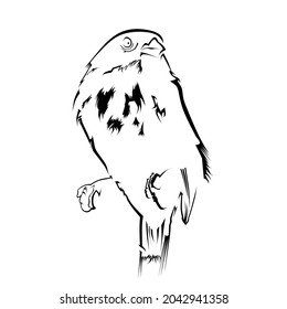 bird silhouette vector illustration for logo illustration.