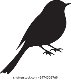 Bird silhouette vector illustration for Logo and T-Shirt design