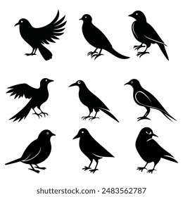 bird silhouette vector illustration, perfect for logo design, art projects, and graphic design. Diverse positions, flying, perching