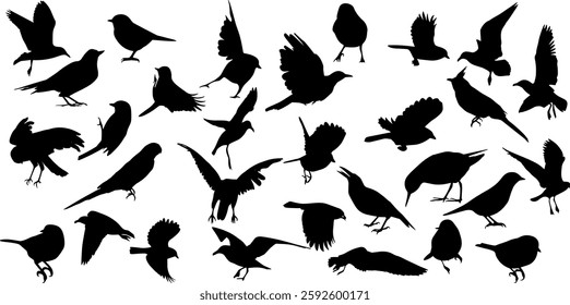 bird silhouette vector illustration, perfect for logo design