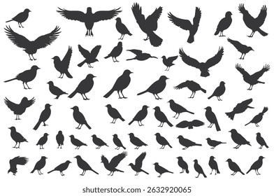 ilustração de vetor de silhueta de pássaro, perfeito para design de logotipo, projetos de arte e design gráfico. Posições diversas, voo, poleiro
