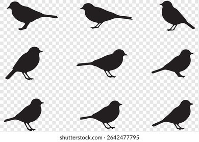 bird silhouette vector illustration, perfect for logo design, art projects, and graphic design. eps 10
