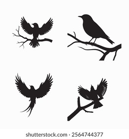 bird silhouette vector image, bird image