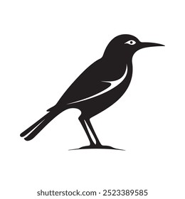 Bird silhouette in vector on white background 