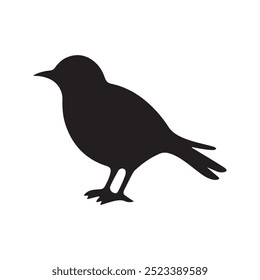 Bird silhouette in vector on white background 
