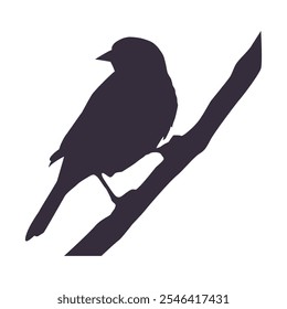 Bird Silhouette Vector Bird Outline Drawing Bird Isolated Clip Art Design Illustration On White Background