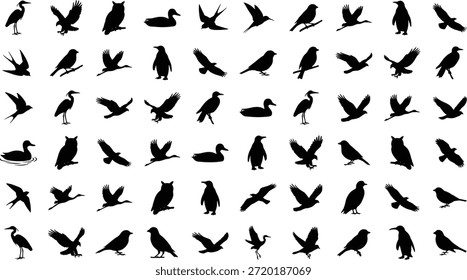 Conjunto de Vector de silueta de pájaro, iconos de aves negras, volando, posado, natación, poses de pájaro de pie, ilustración de vida silvestre, gráfico de naturaleza, Elementos de diseño editables, Formas de animales imprimibles para el arte