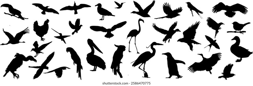 Bird silhouette vector set, diverse bird shape black silhouettes on white background, illustration of flying, perching birds, suitable for nature, wildlife designs