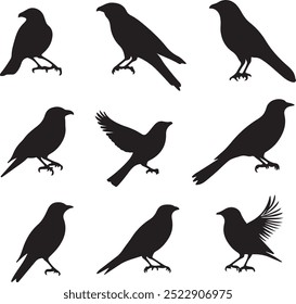Bird silhouette vector set illustrator 