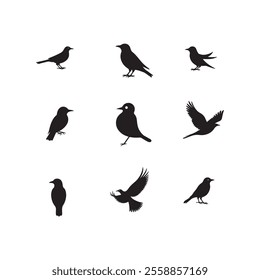 Bird silhouette vector Style with white background
