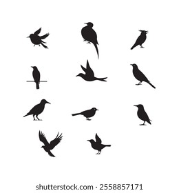 Bird silhouette vector Style with white background