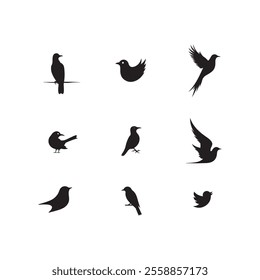 Bird silhouette vector Style with white background