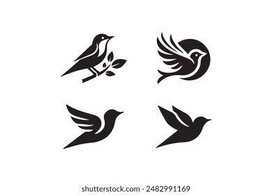 Bird silhouette vector with white background