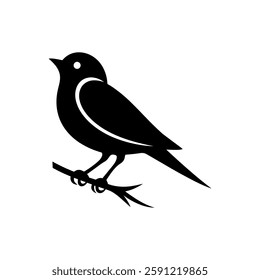 Bird Silhouette With A White Background.