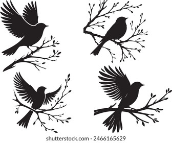  bird  silhouette white background  nature 