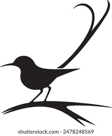 bird  silhouette white background vector illustration 