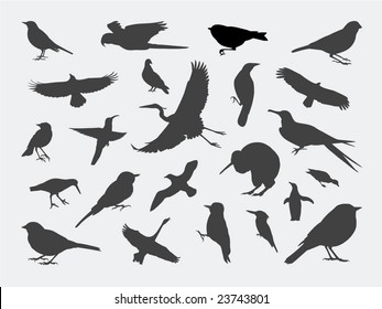 Bird Silhouettes